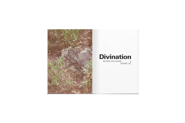 Divination: Beverly Buchanan & Dionne Lee | Catalogue