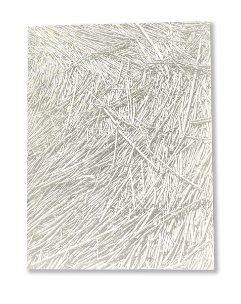 Divination: Beverly Buchanan & Dionne Lee | Catalogue