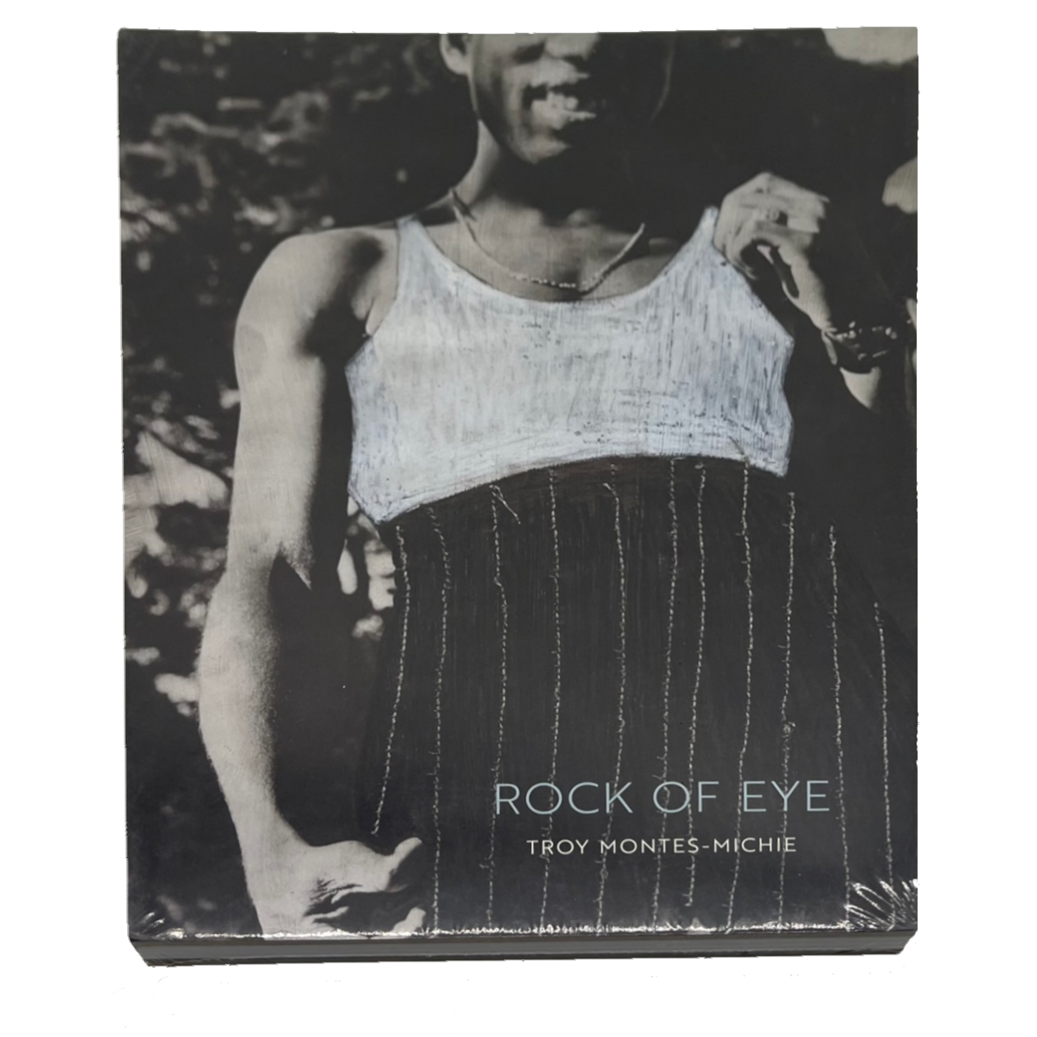 Troy Montes Michie: Rock of Eye Catalogue