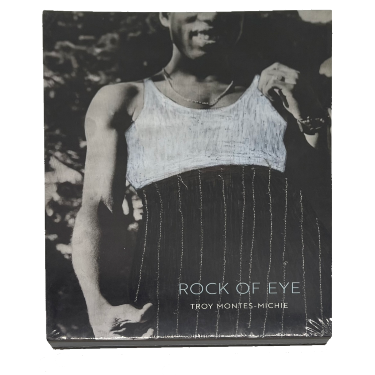 Troy Montes Michie Rock of Eye Catalogue Contemporary Arts Museum